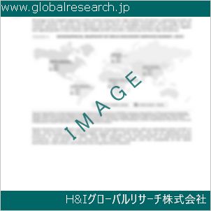 グローバルリサーチ調査資料のイメージ